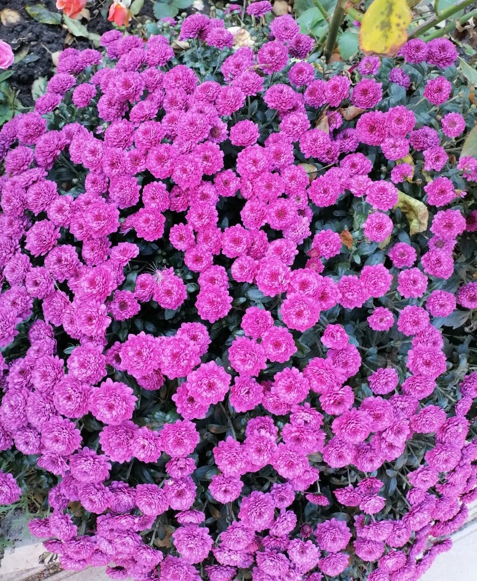 С добрым утром четверга, сегодня 6 ноября!