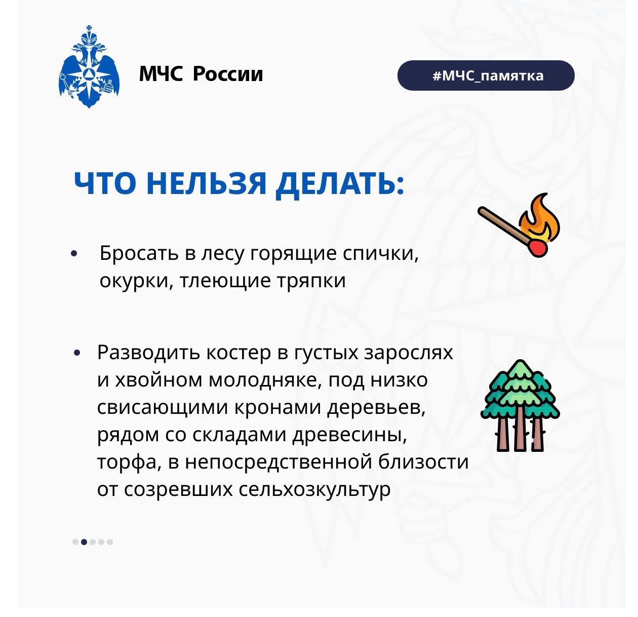 Лес — наше бесценное богатство, источник чистого воздуха Лес — наше бесценное богатство, источник чистого воздуха