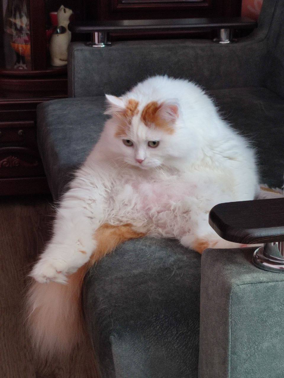 О погоде на 6 ноября. В Краснодарском крае переменная облачность О погоде на 6 ноября. В Краснодарском крае переменная облачность