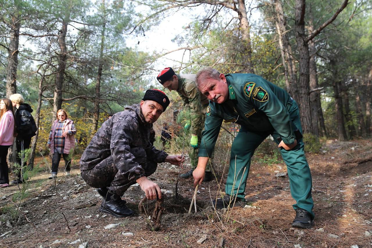 Геленджик принял участие в экологических акциях Геленджик принял участие в экологических акциях