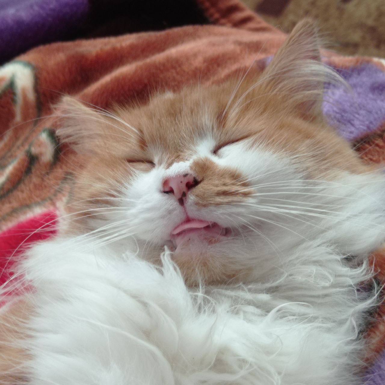 О погоде на 6 ноября. В Краснодарском крае переменная облачность О погоде на 6 ноября. В Краснодарском крае переменная облачность