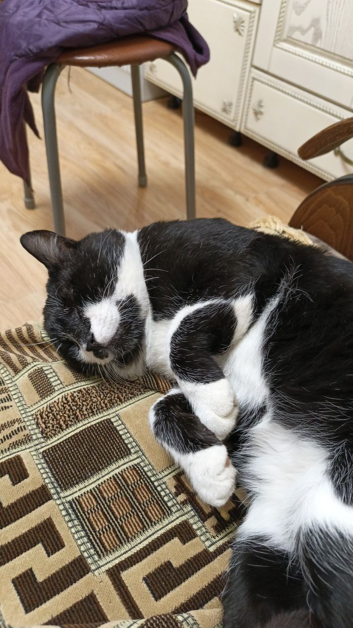 Доброго утра, Краснодарский край! Доброго утра, Краснодарский край!