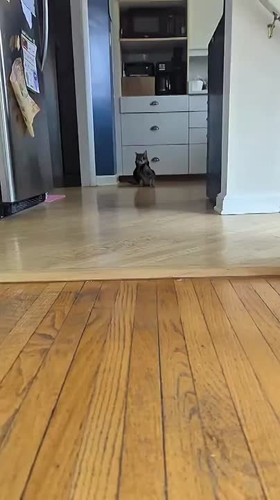 Так эпично врываемся в последний рабочий день на этой неделе (ну и пусть, что он всего лишь третий)