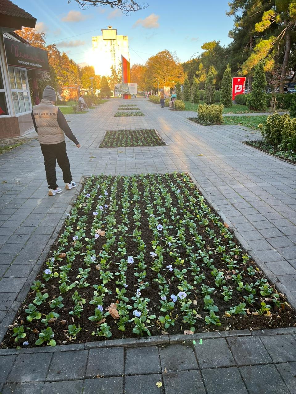 Город готовится к зиме, но красок меньше не станет Город готовится к зиме, но красок меньше не станет