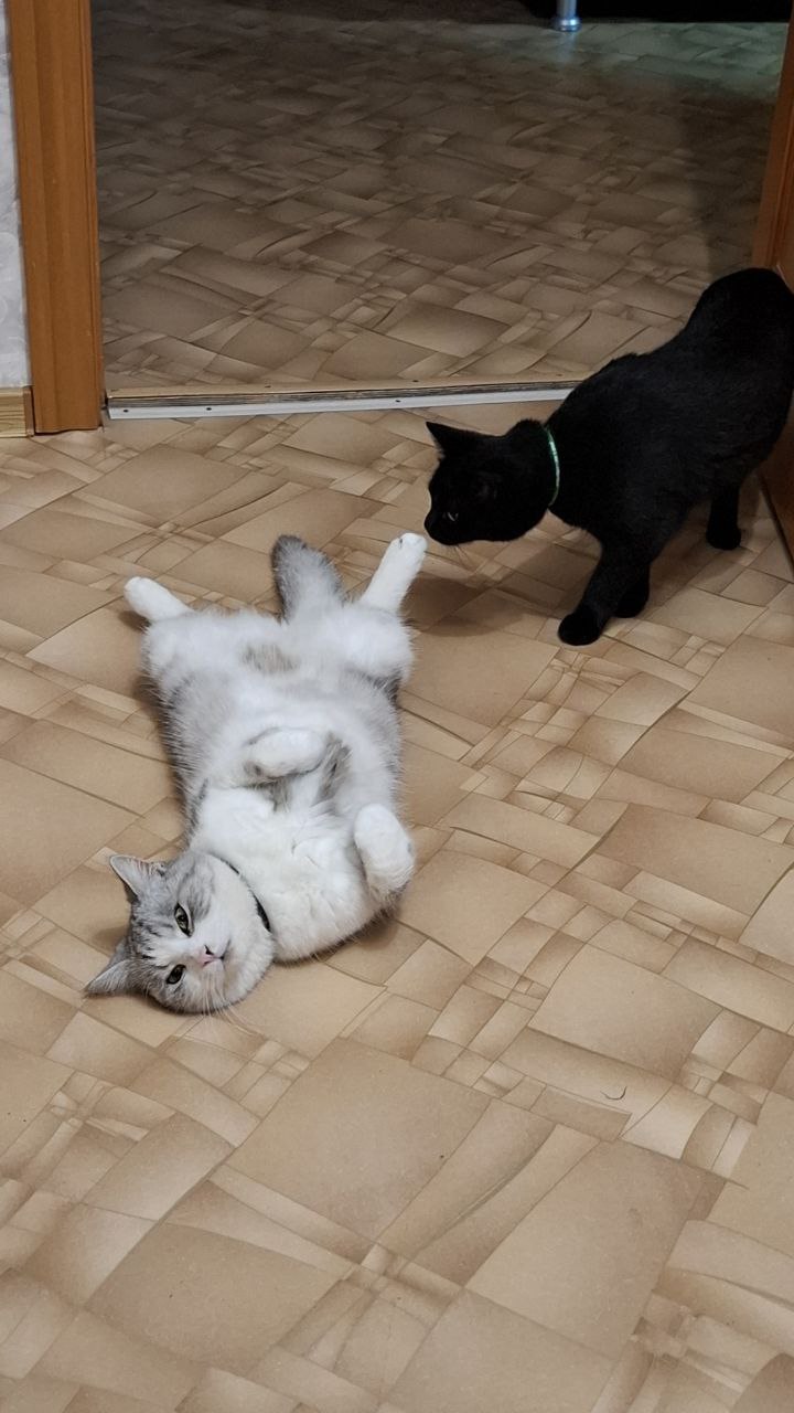 Доброго утра, Краснодарский край! Доброго утра, Краснодарский край!