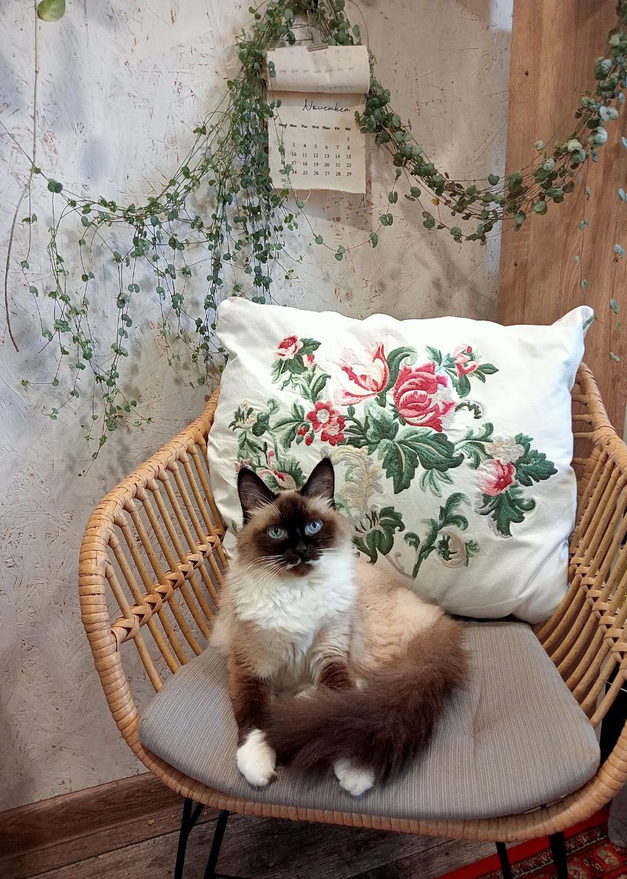 Доброго утра, Краснодарский край! Доброго утра, Краснодарский край!