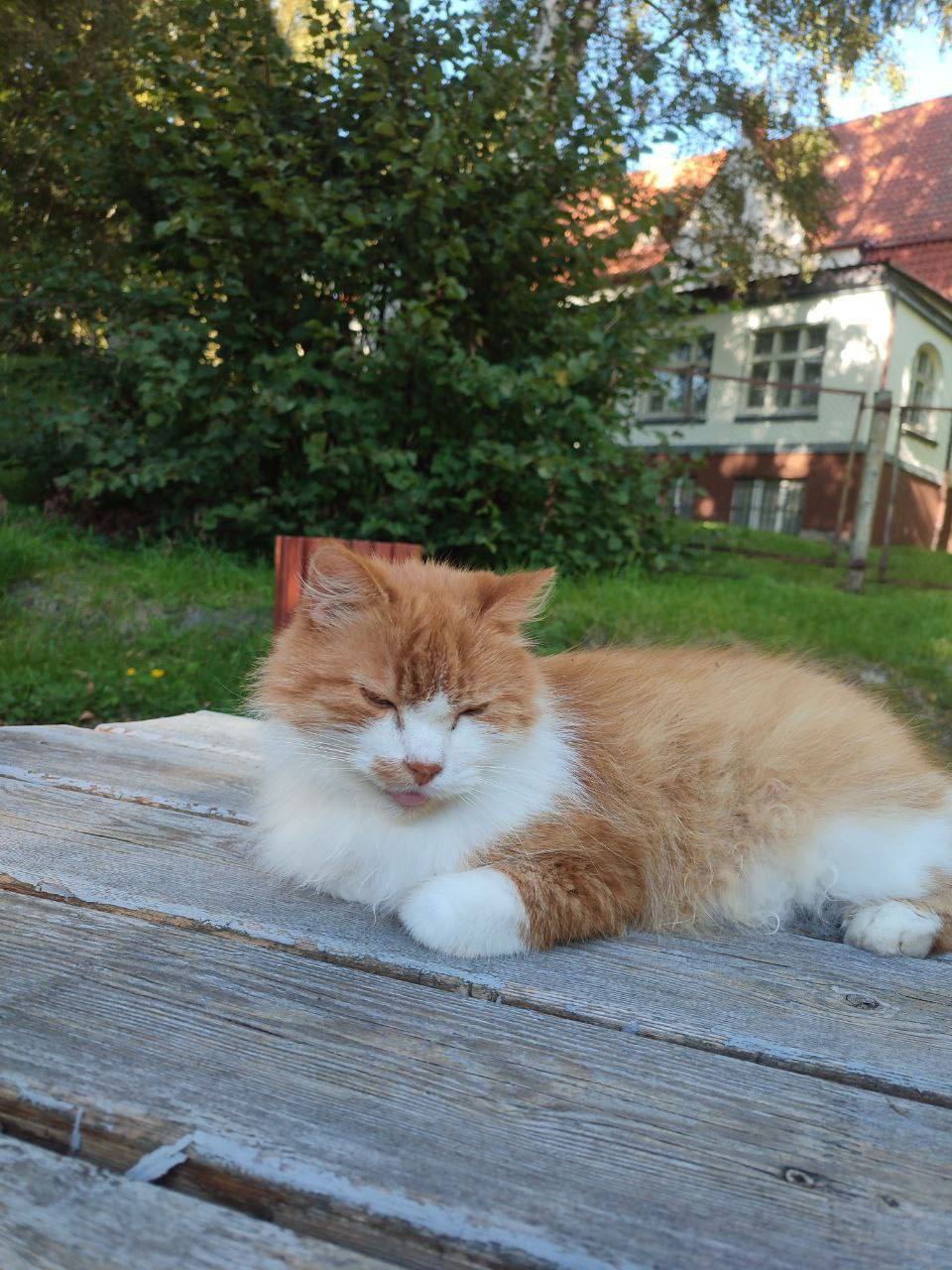 О погоде на 7 ноября. В Краснодарском крае переменная облачность О погоде на 7 ноября. В Краснодарском крае переменная облачность