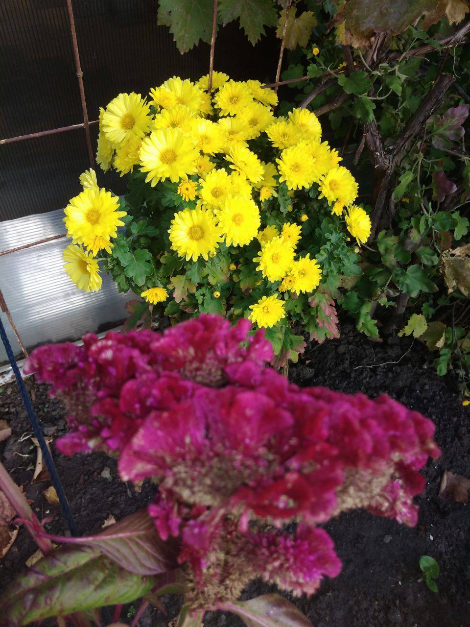 О погоде на 7 ноября. В Краснодарском крае переменная облачность О погоде на 7 ноября. В Краснодарском крае переменная облачность