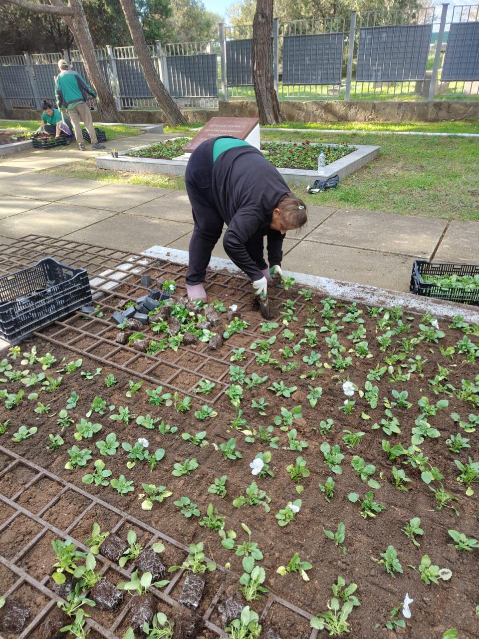 Город готовится к зиме, но красок меньше не станет Город готовится к зиме, но красок меньше не станет