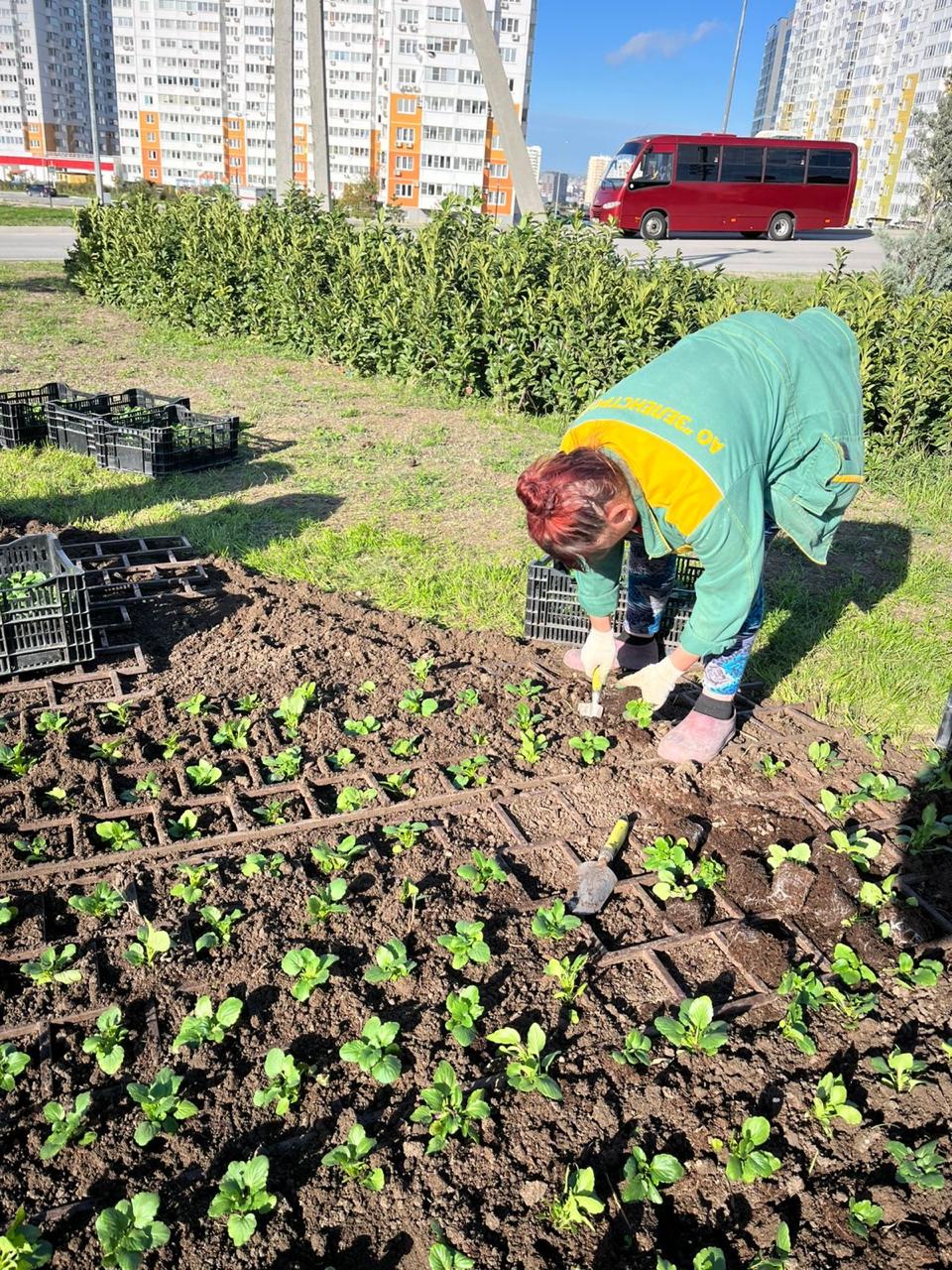 Город готовится к зиме, но красок меньше не станет Город готовится к зиме, но красок меньше не станет