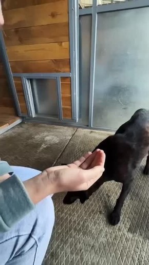 Она не ждала помощи — она её выбрала