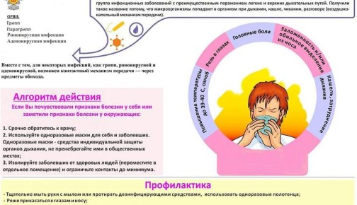 Роспотребнадзор Новороссийска: Вакцинация – лучшая защита от гриппа