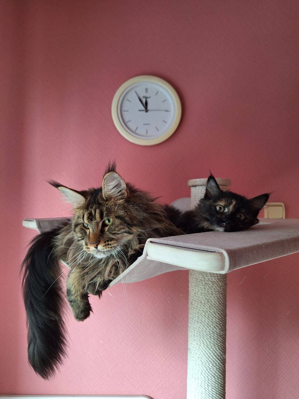 О погоде на 7 ноября. В Краснодарском крае переменная облачность О погоде на 7 ноября. В Краснодарском крае переменная облачность