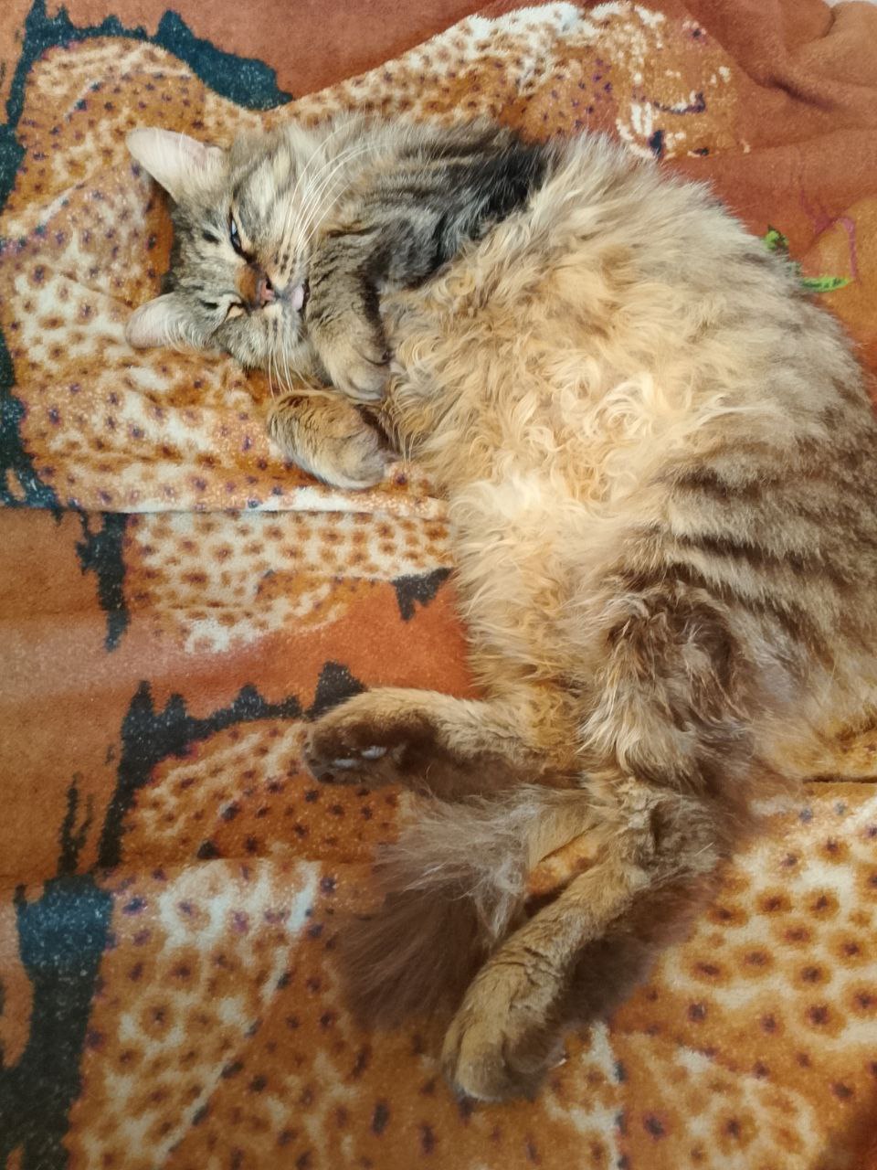 Доброго утра, Краснодарский край! Доброго утра, Краснодарский край!