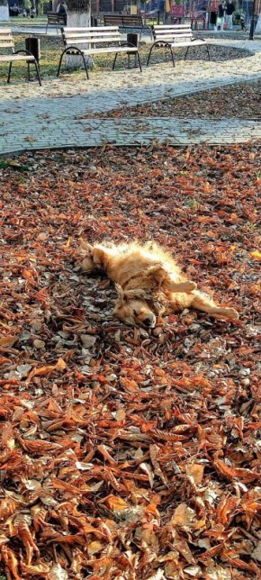 О погоде на 7 ноября. В Краснодарском крае переменная облачность