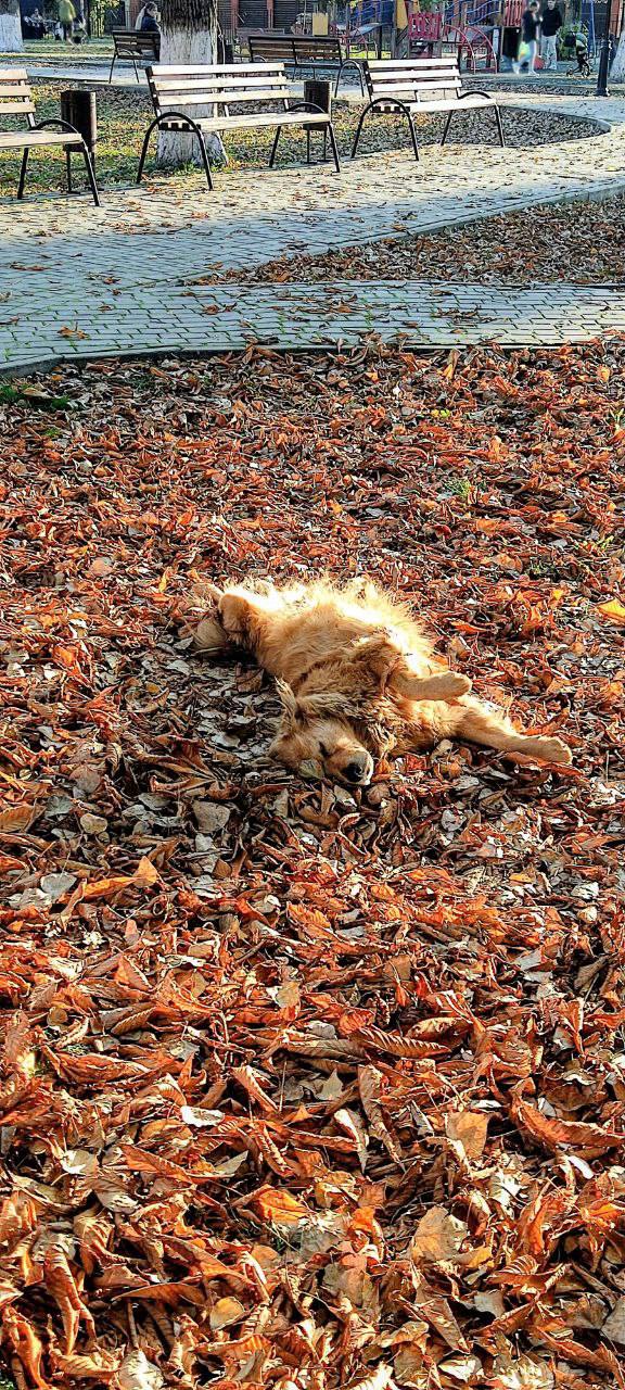 О погоде на 7 ноября. В Краснодарском крае переменная облачность