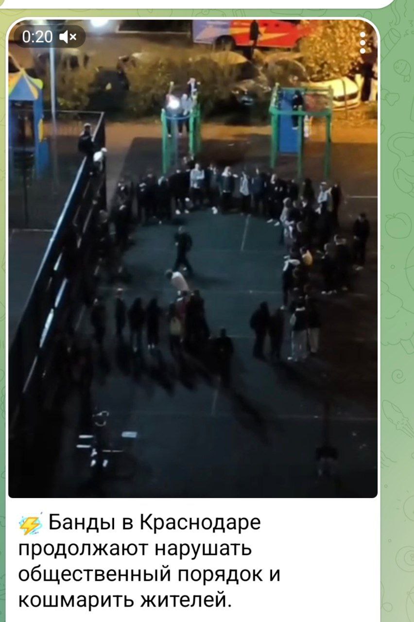 Полиция Краснодара разбирается в ситуации в мкр