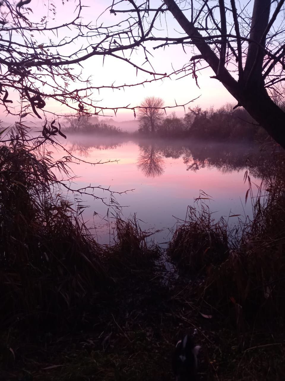 О погоде на 8 ноября. В Краснодарском крае переменная облачность О погоде на 8 ноября. В Краснодарском крае переменная облачность