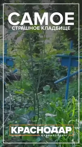 Здесь уже не хоронят.... Уже более 60 лет на Всесвятском кладбище не проводят захоронений. Однако жизнь здесь не замерла: местные жители по собственной инициативе приходят сюда на субботники, чтобы сохранить память и...