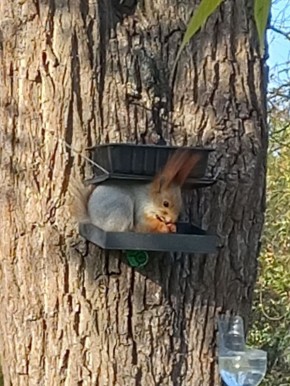 О погоде на 8 ноября. В Краснодарском крае переменная облачность