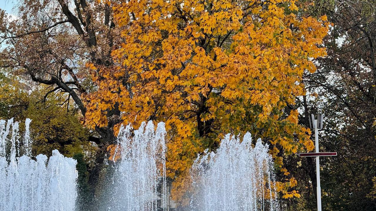 Погода в Краснодаре в субботу Погода в Краснодаре в субботу