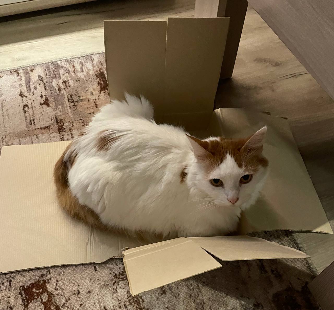 О погоде на 8 ноября. В Краснодарском крае переменная облачность О погоде на 8 ноября. В Краснодарском крае переменная облачность