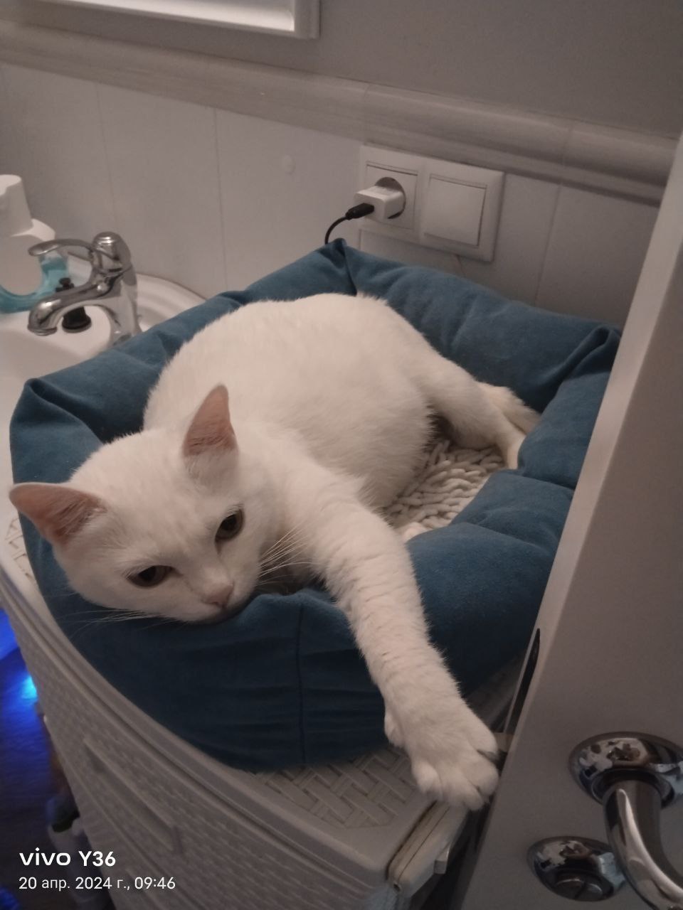 Доброе утро, Кубань!. Краснодар +3…+17 °С Доброе утро, Кубань!. Краснодар +3…+17 °С