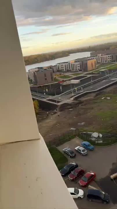 Щеночки, конечно, милые