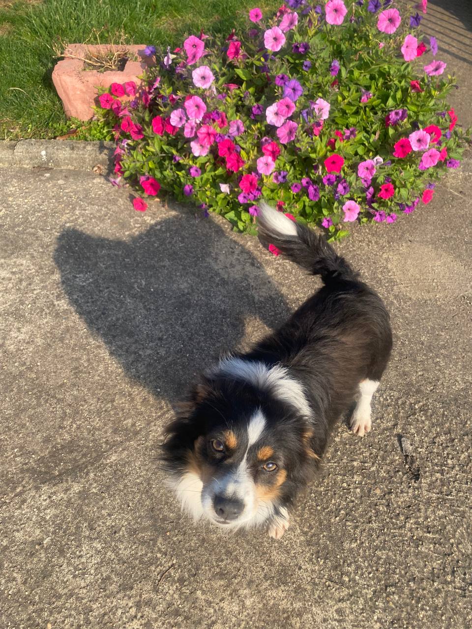 О погоде на 8 ноября. В Краснодарском крае переменная облачность О погоде на 8 ноября. В Краснодарском крае переменная облачность