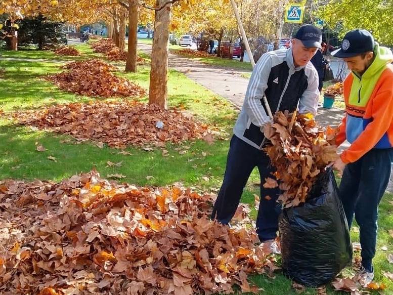 Улицы и парки Краснодара очищают от опавшей листвы Улицы и парки Краснодара очищают от опавшей листвы