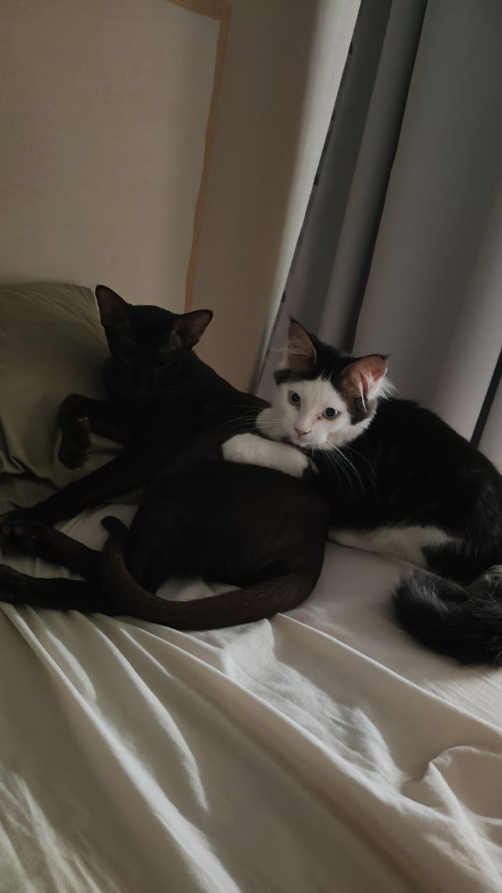 Доброе утро, Кубань!. Краснодар +3…+17 °С Доброе утро, Кубань!. Краснодар +3…+17 °С