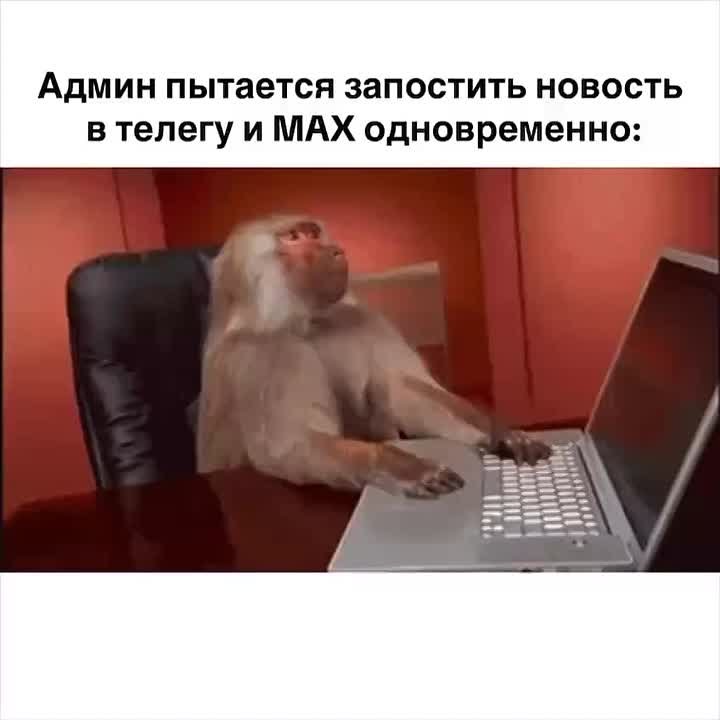 Телеграм часто сбоит. Кстати, у админа тоже, поэтому следите за новостями Kub Mash в МАХ — там инфа появляется чуть быстрее
