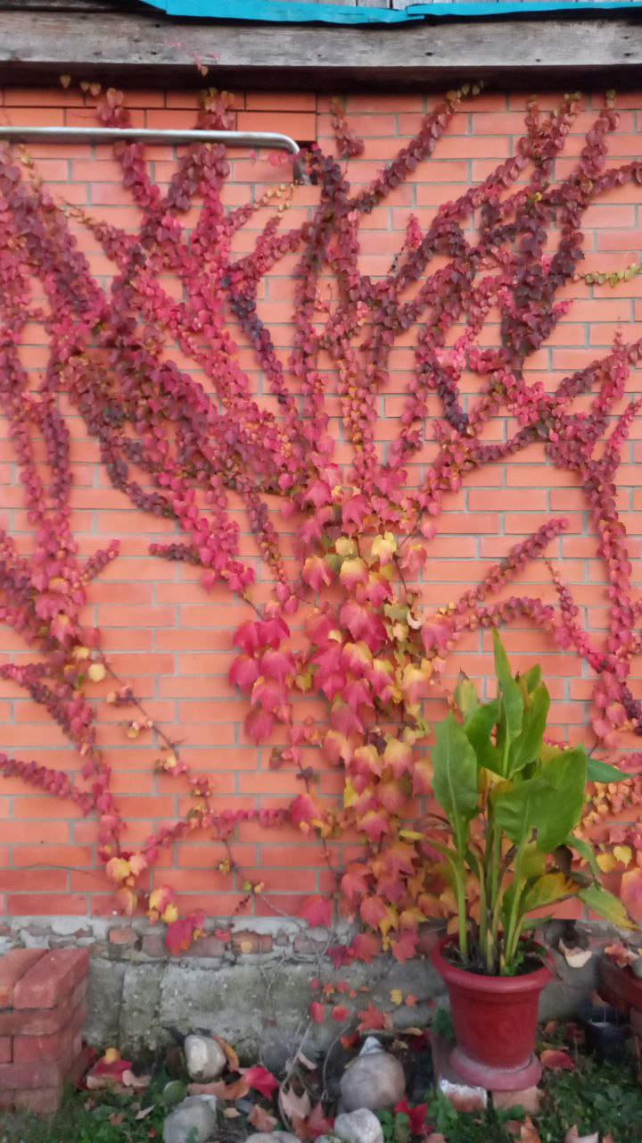 О погоде на 8 ноября. В Краснодарском крае переменная облачность О погоде на 8 ноября. В Краснодарском крае переменная облачность