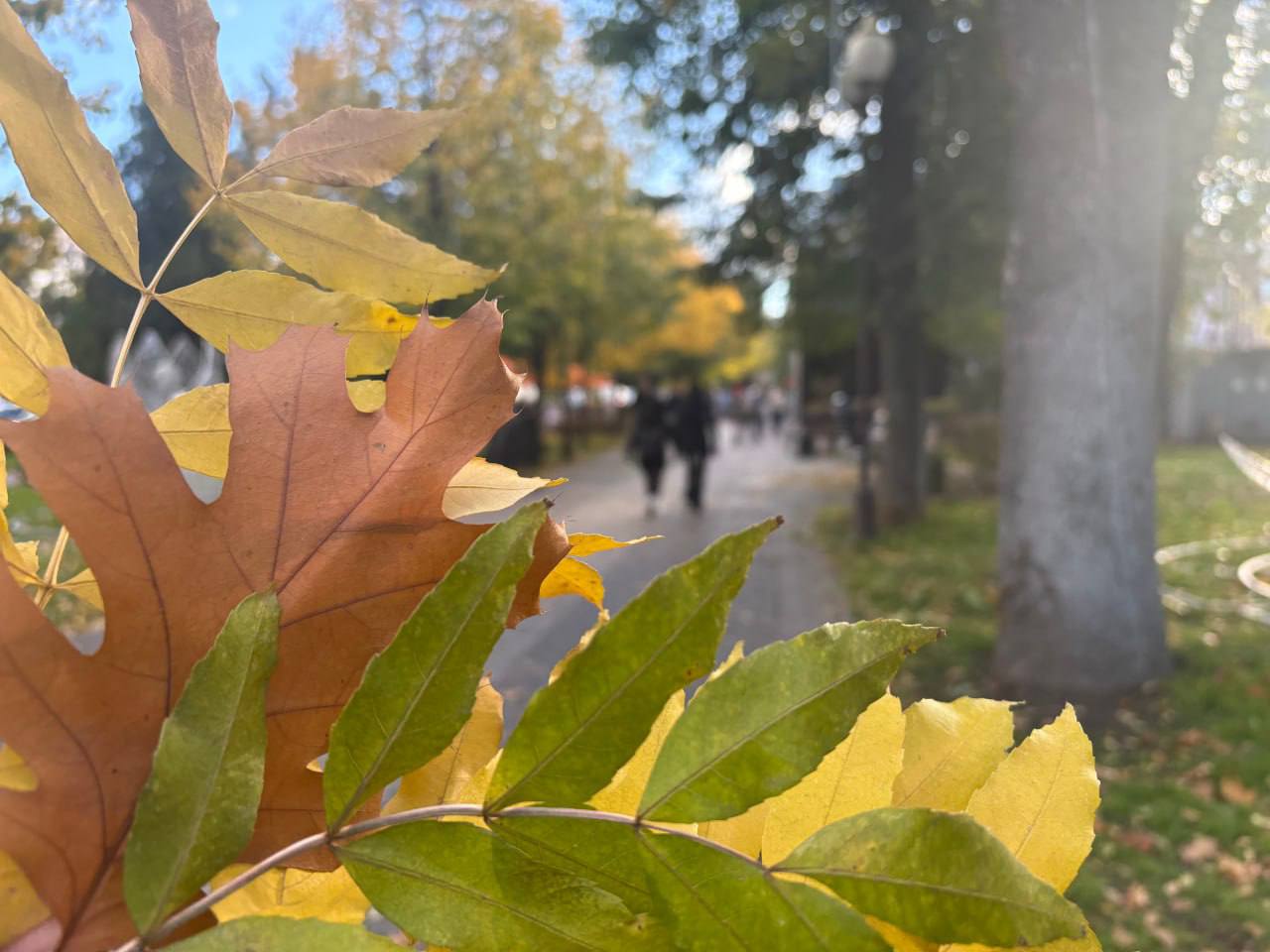 Погода в Краснодаре сегодня без сюрпризов