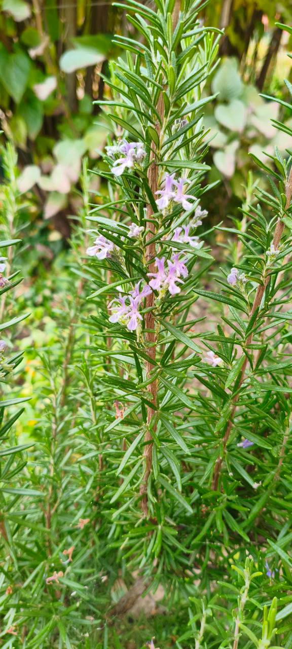 О погоде на 9 ноября. В Краснодарском крае переменная облачность О погоде на 9 ноября. В Краснодарском крае переменная облачность