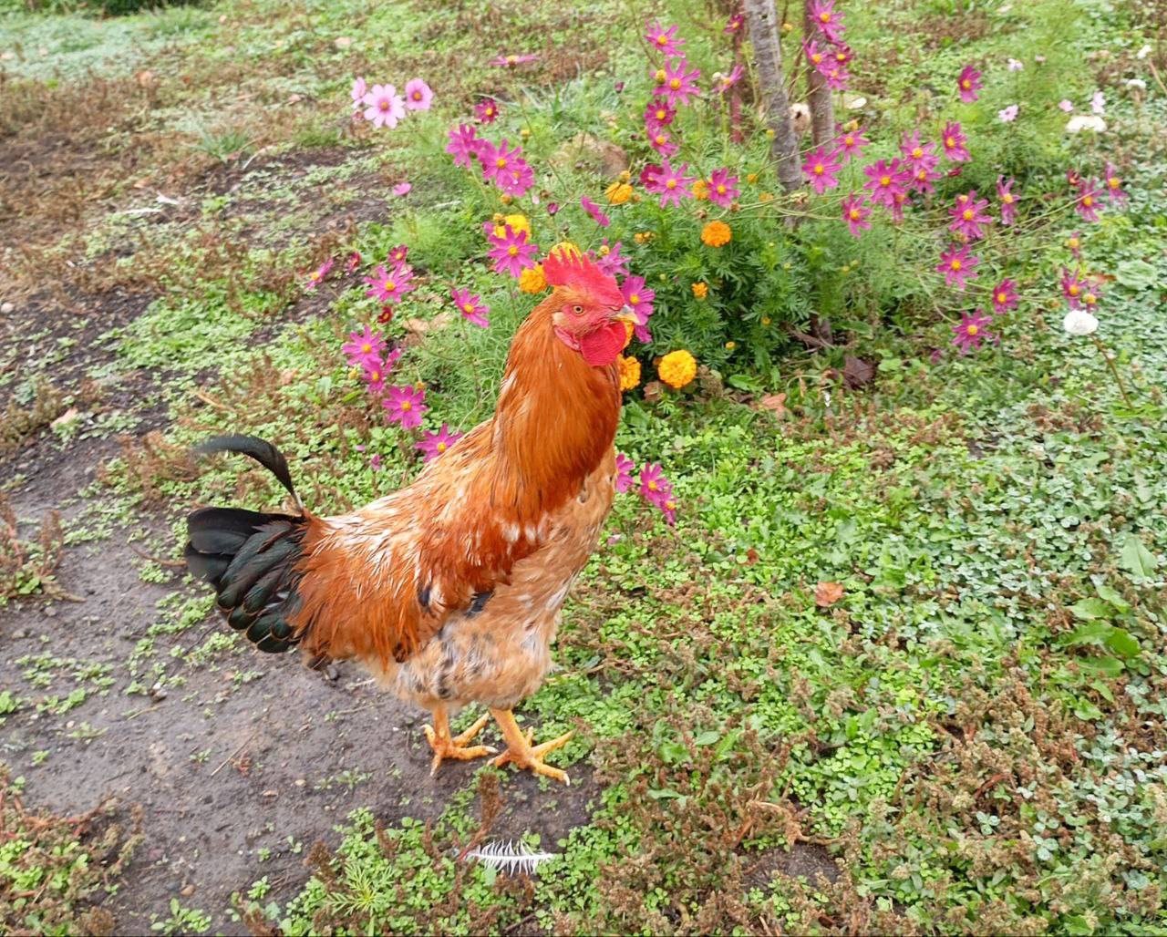 О погоде на 9 ноября. В Краснодарском крае переменная облачность О погоде на 9 ноября. В Краснодарском крае переменная облачность