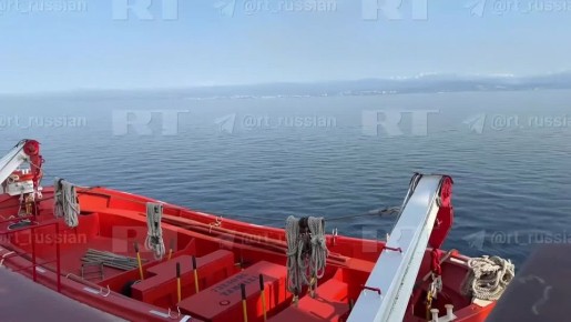 Паром Seabridge не получил разрешение на заход в Сочи и возвращается обратно в Турцию