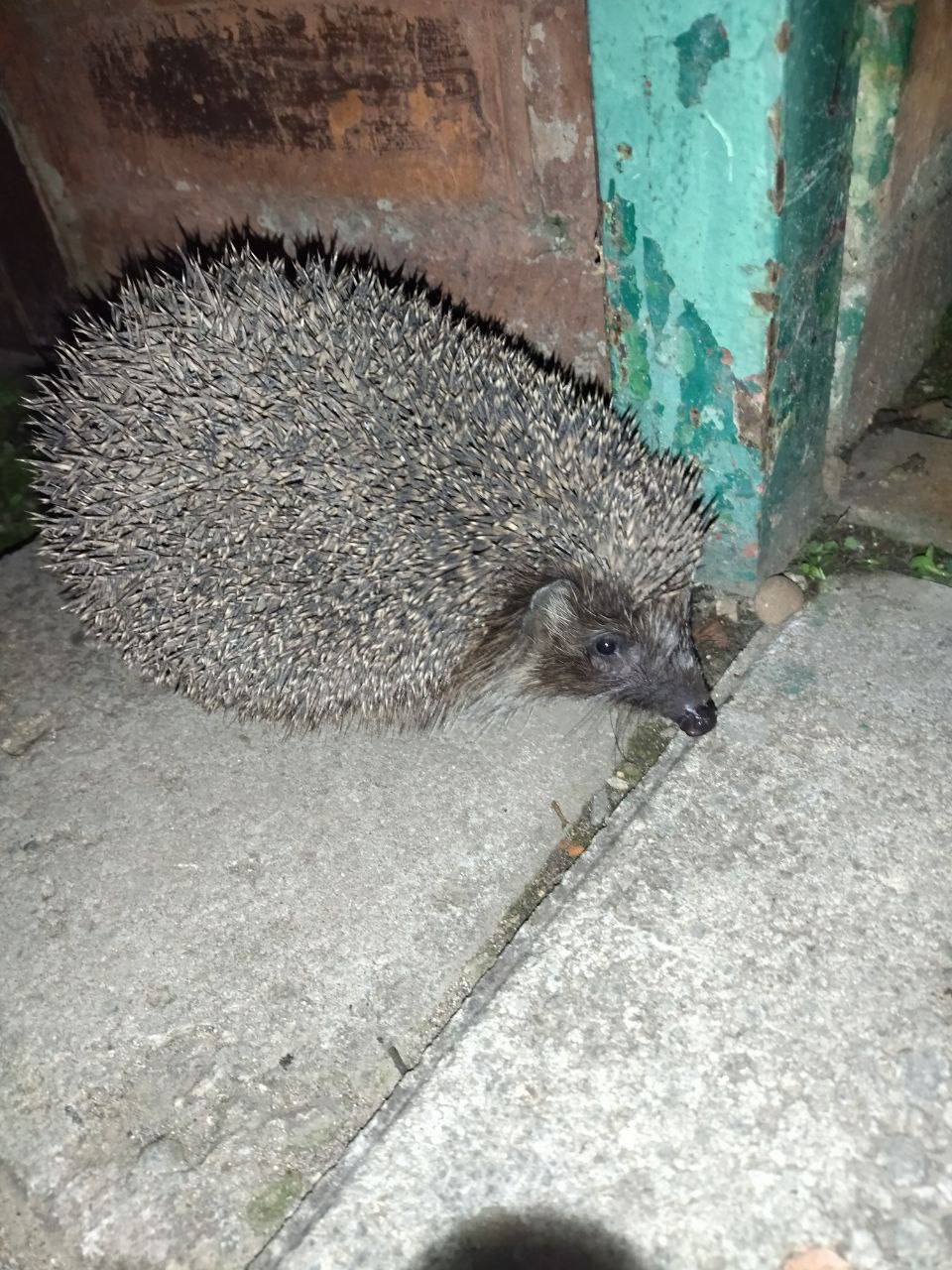 О погоде на 9 ноября. В Краснодарском крае переменная облачность О погоде на 9 ноября. В Краснодарском крае переменная облачность