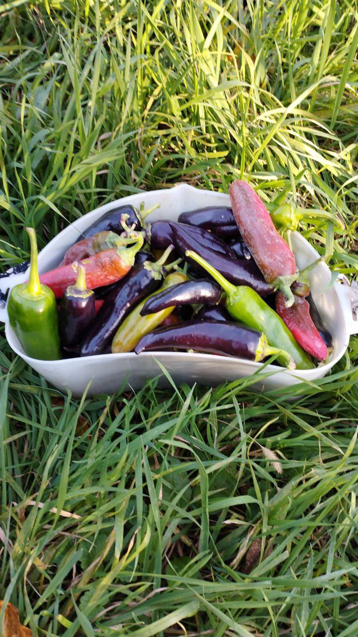 О погоде на 9 ноября. В Краснодарском крае переменная облачность О погоде на 9 ноября. В Краснодарском крае переменная облачность