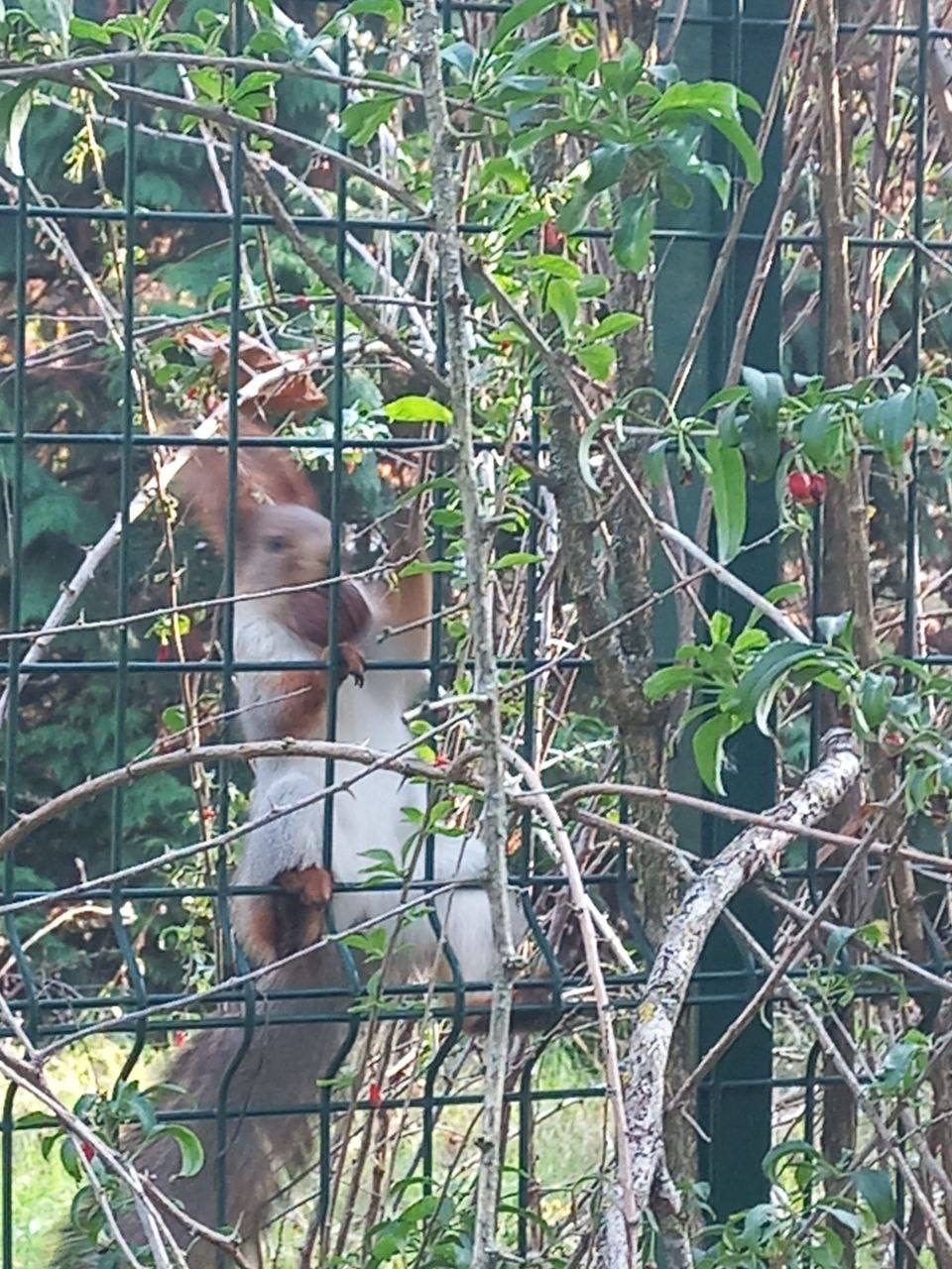 О погоде на 9 ноября. В Краснодарском крае переменная облачность О погоде на 9 ноября. В Краснодарском крае переменная облачность