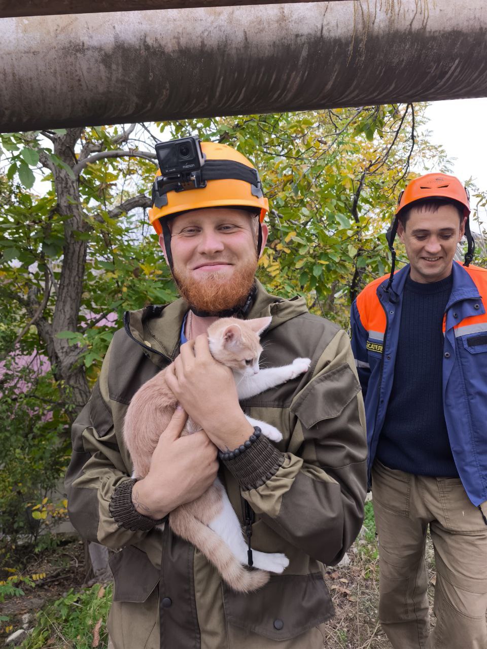 Спасатели Новороссийска сняли с дерева испуганного котёнка