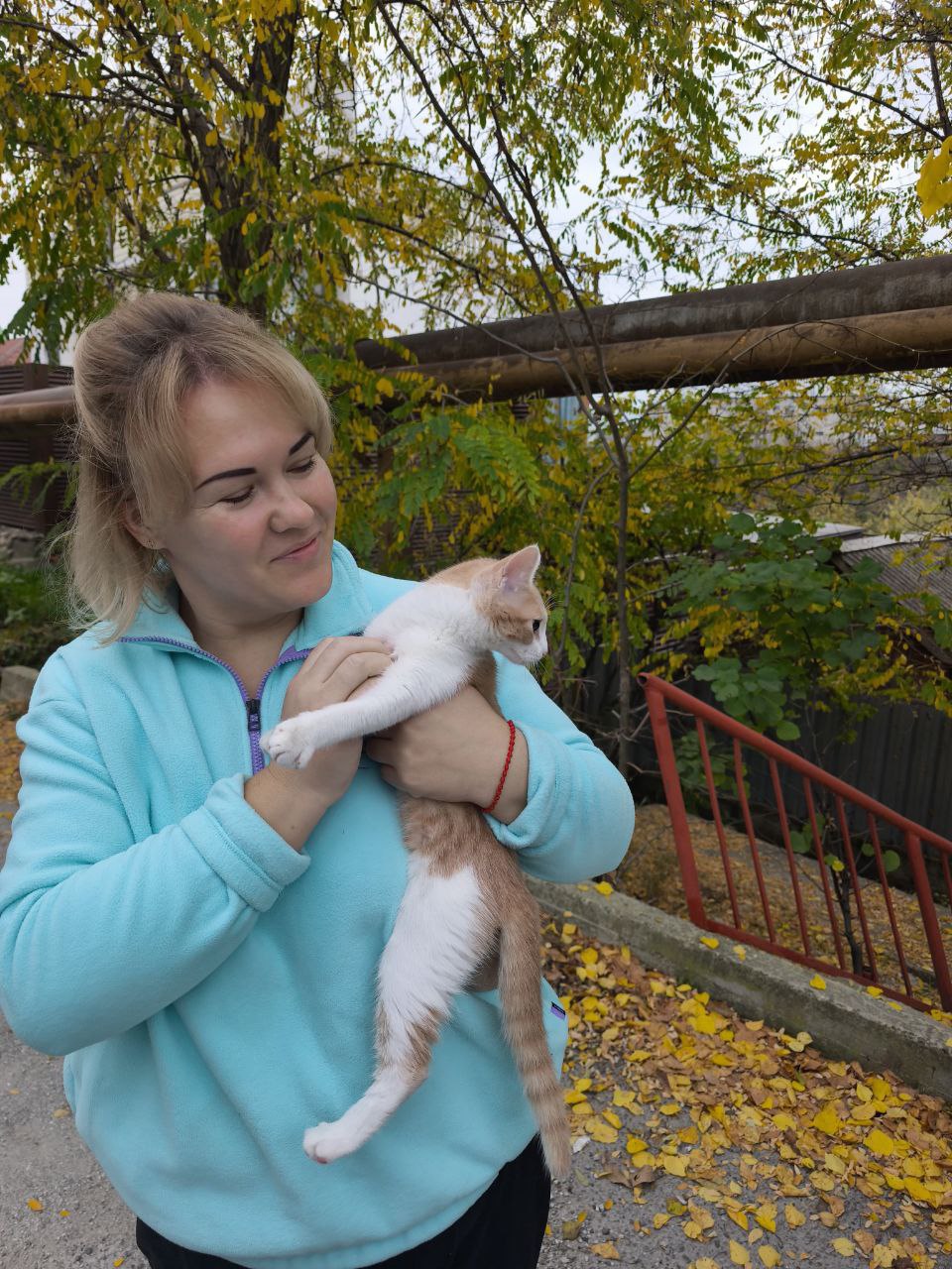 Спасатели Новороссийска сняли с дерева испуганного котёнка Спасатели Новороссийска сняли с дерева испуганного котёнка