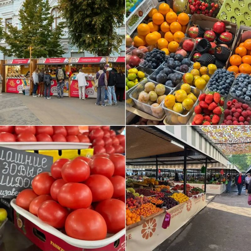 Вениамин Кондратьев: С начала года на рынках и ярмарках Кубани реализовали продукции на 187 миллиардов рублей