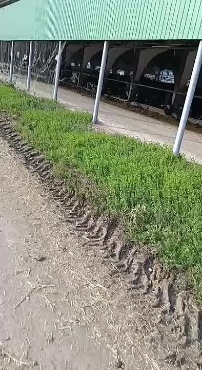 Прокуратурой Кореновского района организована проверка размещенной в сети «Интернет» информации о причинении вреда объектам животного мира