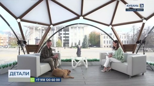 Обязательно страховать потенциально опасные породы собак предложили в Госдуме