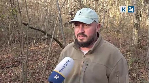 Слухи о массовой гибели кабанов в Абинском районе не подтвердились — Минприроды края