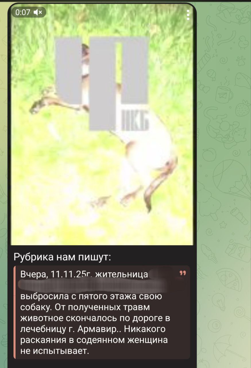11 ноября в полицию Новокубанского района от очевидцев поступило сообщение о том, что женщина выбросила с пятого этажа многоквартирного дома собаку, которая впоследствии скончалась от полученных травм