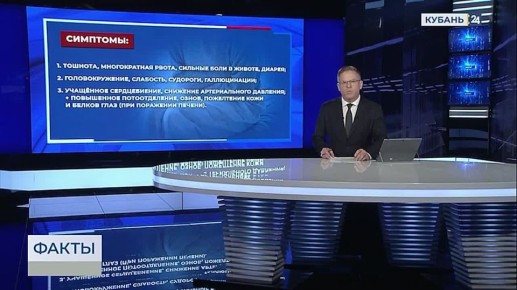 9 человек, которые отравились грибами в Горячем ключе, уже выписали из больницы