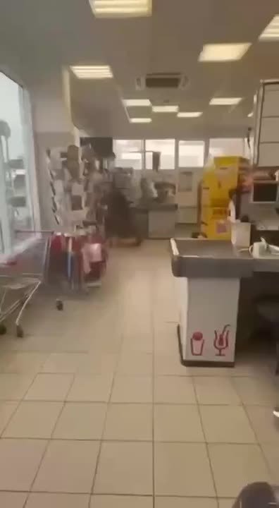 Необычный пушистый покупатель заглянул в супермаркет Краснодарском крае