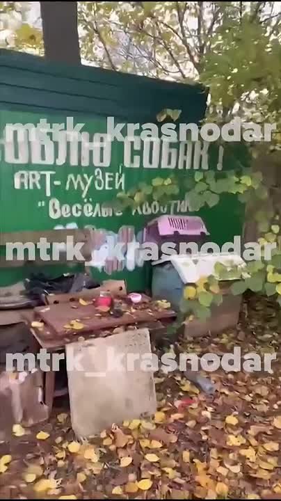 Появилось новое видео из концлагеря для животных в Тимашевском районе